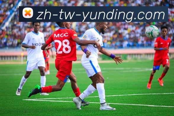 云顶官网APP 封面图